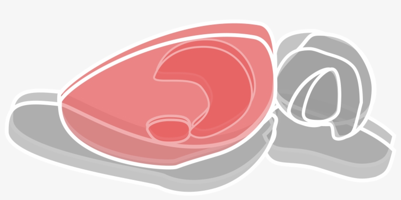 This Free Icons Png Design Of Rat Brain 1, transparent png #359782