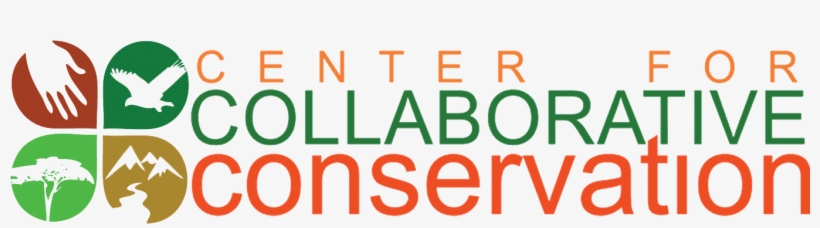 Ccc Large Logo Transparency - Carrera Occhiali Da Sole, transparent png #3500286