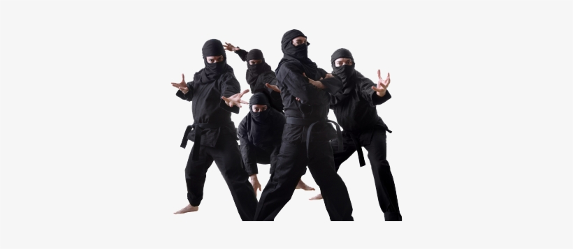 Are You A Ninjaneer Wait Hold Up Let Me Define What - Group Of Ninjas, transparent png #3500519