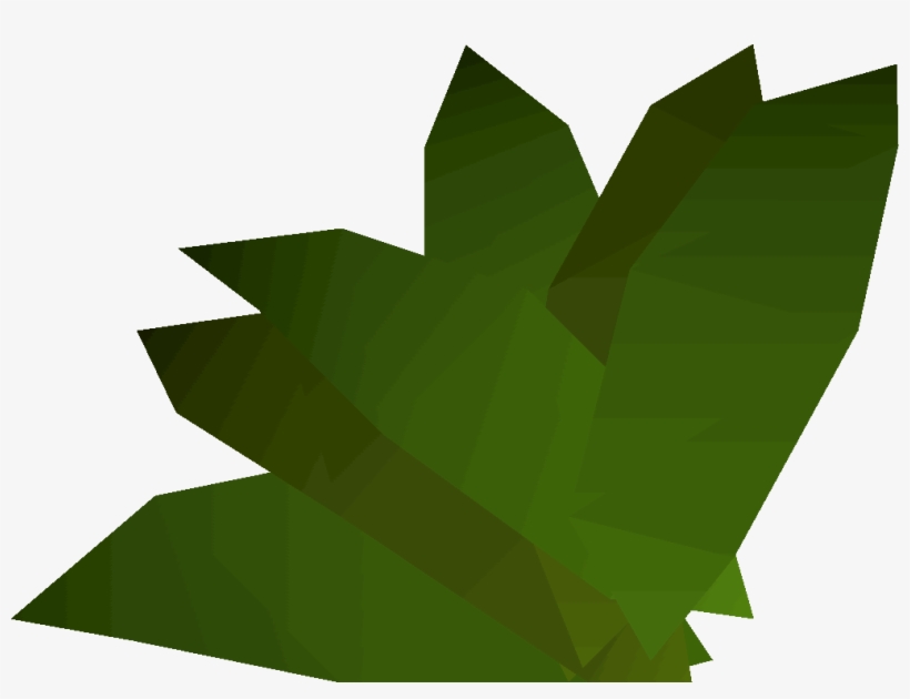 Runescape Guam Leaf, transparent png #3500787