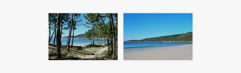 Barra Beach - Playa De Barra, transparent png #3501902