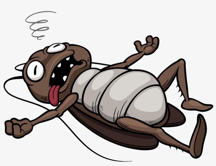 Dead Cockroach Cartoon, transparent png #3501930
