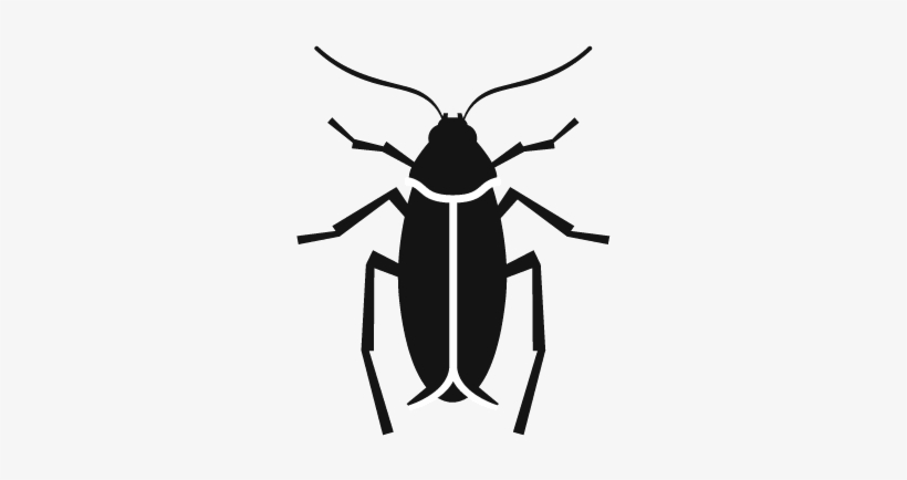 Icono-cucaracha - Barata Vetor, transparent png #3501975