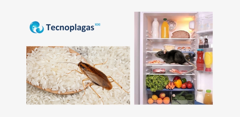 Ratas En La Nevera Y Cucarachas En El Arroz - Rejuvenate Homefresh Odor & Moisture Packs With, transparent png #3502165
