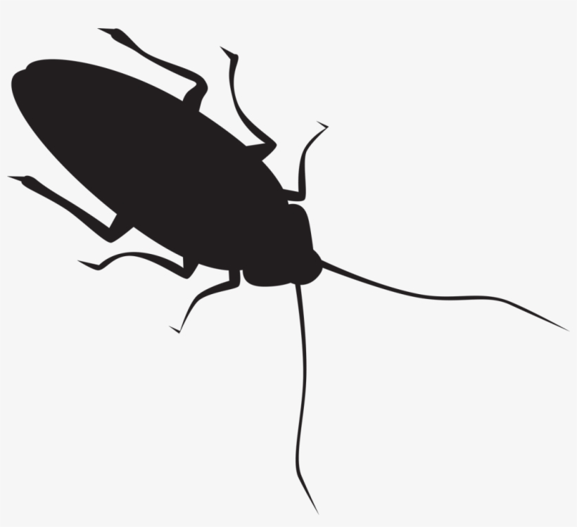 Pin By Heather Lindsey On Cricut Roaches - Cockroach Silhouette, transparent png #3502321