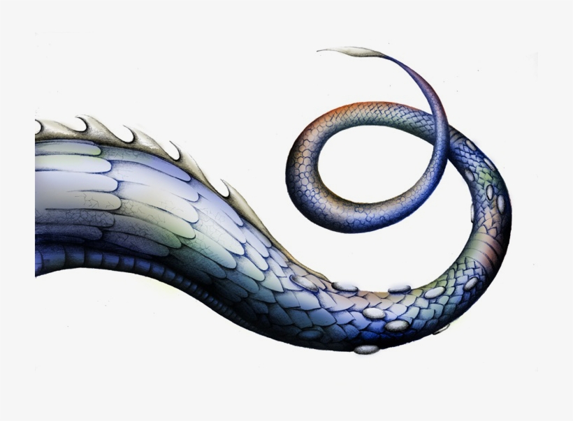 Dragontail Sgsword Cyo - Real Dragon Tail Png, transparent png #3502516