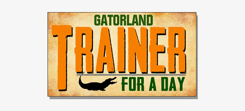 An Experience You Will Not Forget - Poster, transparent png #3503117