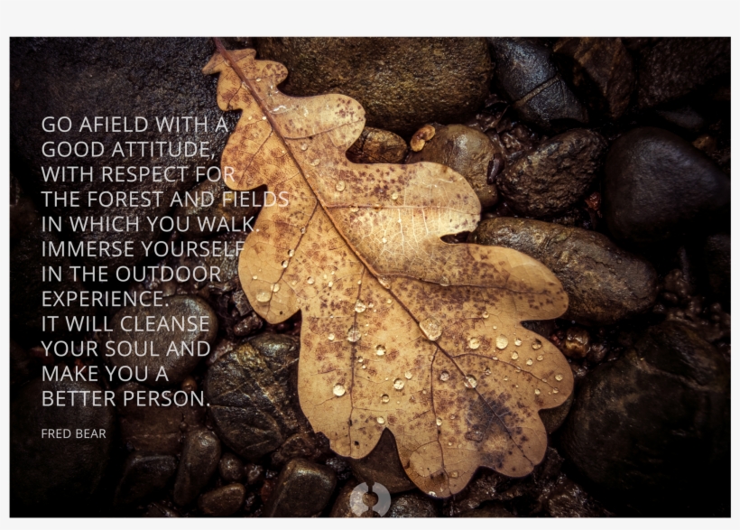 Hunt Gather Logo Sticker, transparent png #3504021