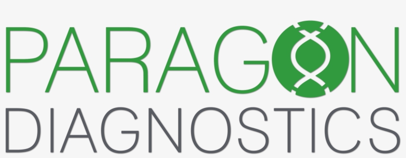 Paragon - Secretaria De Hacienda Chiapas Png, transparent png #3504043