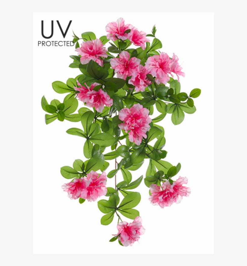 23" Uv Protected Azalea Hanging Bush Cerise - Uv Protected Outdoor Azalea Silk Hanging Bush In Cerise, transparent png #3505608