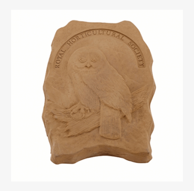 Rhs Endangered Wildlife Stepping Stone - Endangered Species, transparent png #3506034