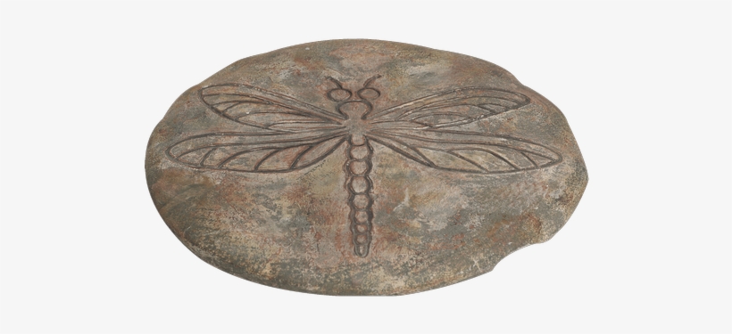 Cement Etched Stepping Stone, Dragonfly - Royer's Flowers & Gifts, transparent png #3506100