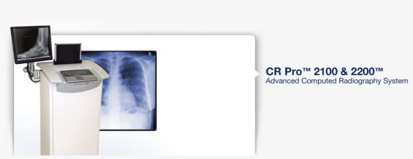 Xray - X-ray, transparent png #3506252