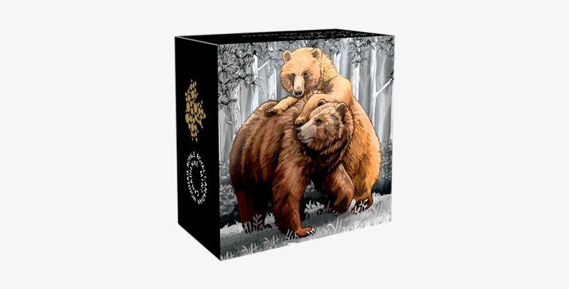 145355 Box-570 - Grizzly Bear, transparent png #3506403