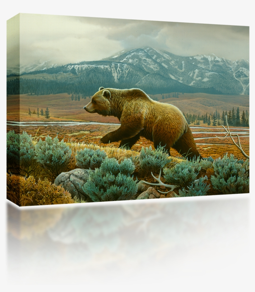 Grizzly Bear - World Of Animals [book], transparent png #3506828