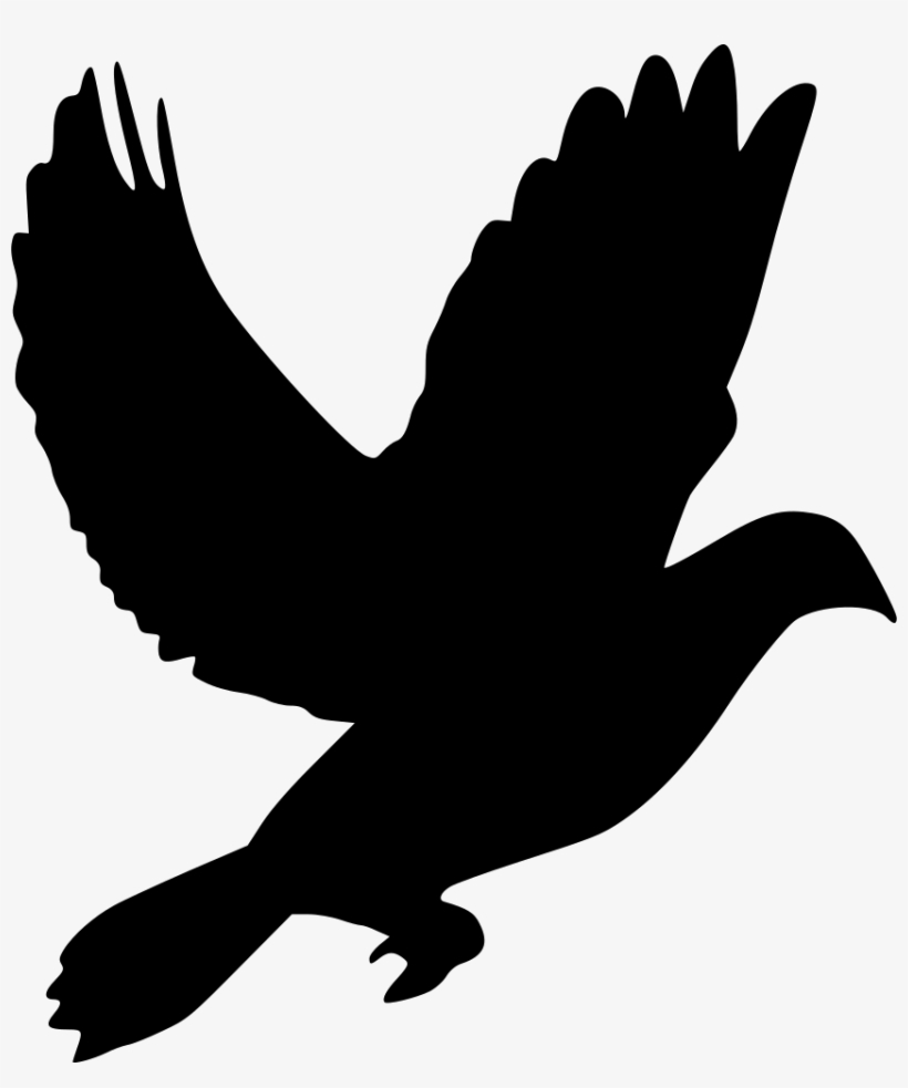 Animal Dove Pigeon Comments - Pigeon Icon Png, transparent png #3507022
