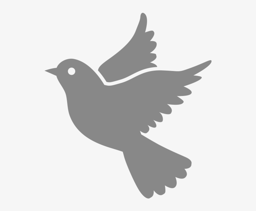 Social Change - Dove Transparent Icon, transparent png #3507079