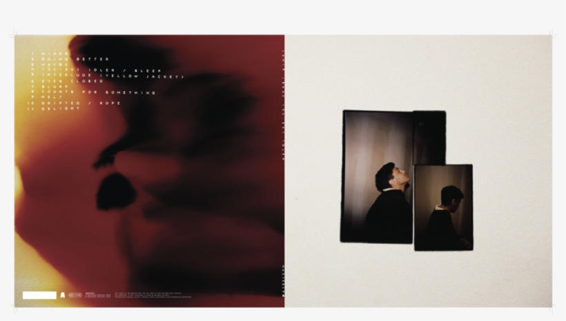 Vinyl, transparent png #3507984