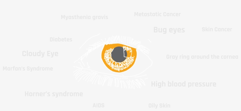 This Device Will Help Individuals A Good Understanding - Circle, transparent png #3508052