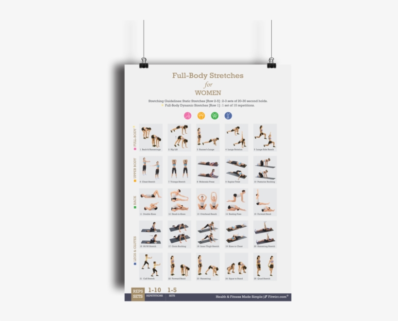Full-body Stretching Exercise Poster For Women 19"x27" - Full Body Stretches For Women, transparent png #3508151