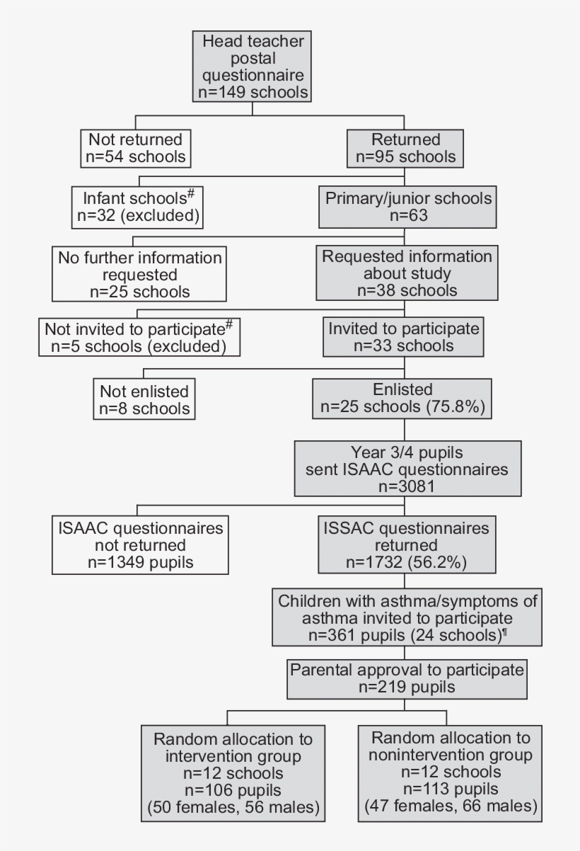 International Study Of Asthma And Allergies In Childhood - Document, transparent png #3508216