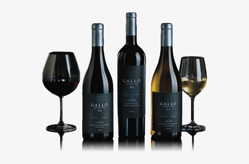 We Envision The Future - Gallo Wine, transparent png #3508512
