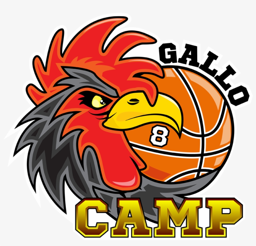 57 Commenti - Gallinari, transparent png #3508538