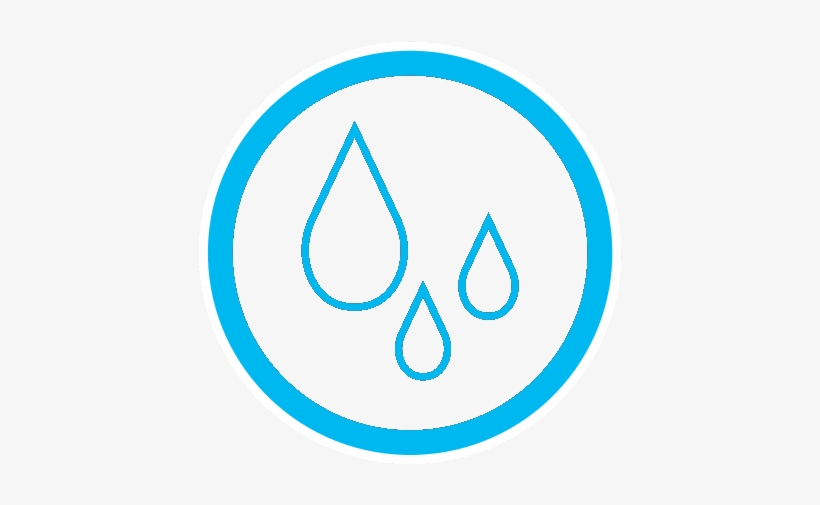 Limpieza - Basilica Of Sant'ambrogio, transparent png #3508731