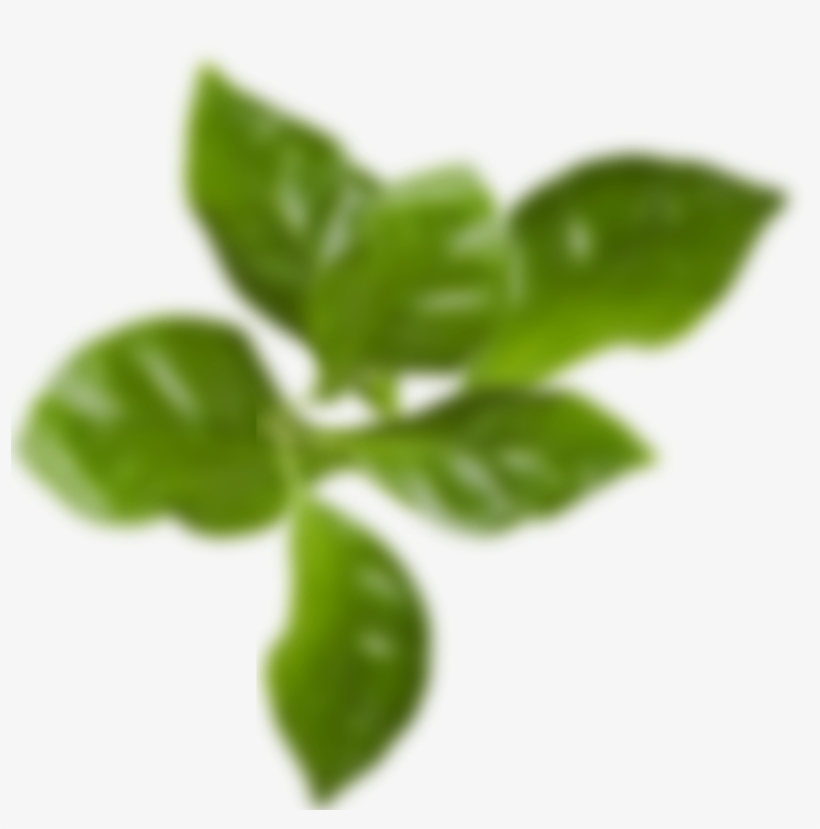 See Our Accessories - Blurred Out Leaf Png, transparent png #3508912