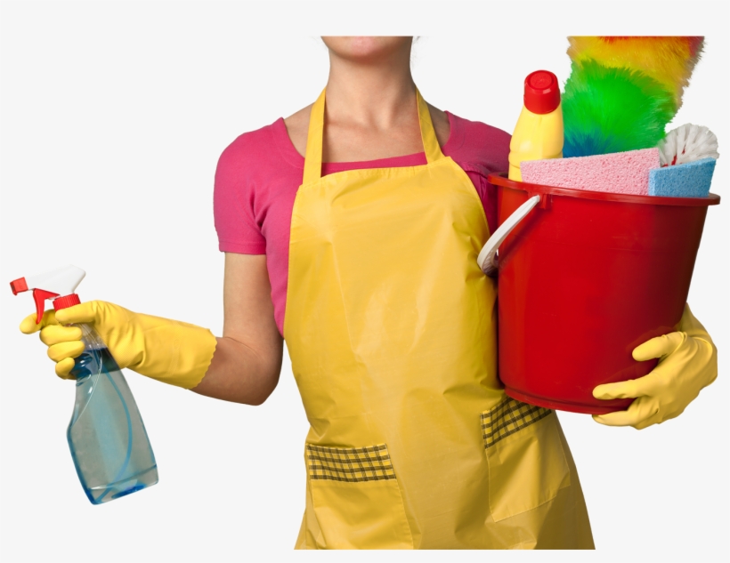 Limpieza De Hoteles - Dodo Cleaning Services Ltd, transparent png #3509157