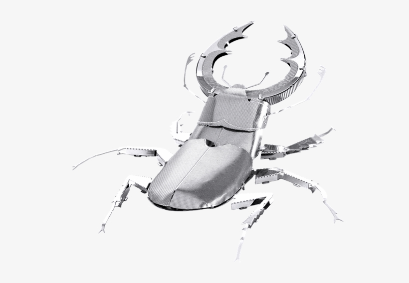 Metal Earth Bugs - Metal Earth Insects, transparent png #3510462