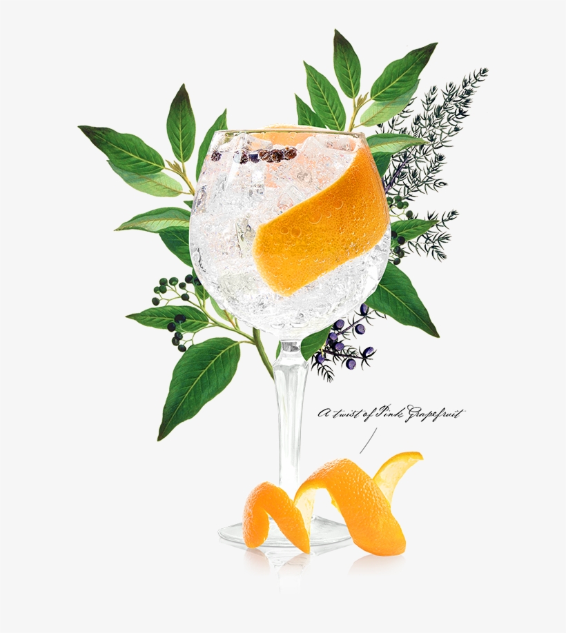 Summer Serve Copa - Common Juniper Alchemy Plant, transparent png #3512620