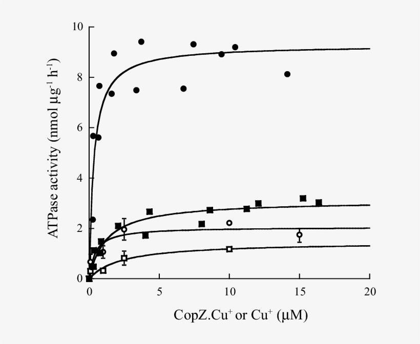 Copzcu Activation Of N,c-copa And C 27,30,751,754 A - Copper, transparent png #3512887