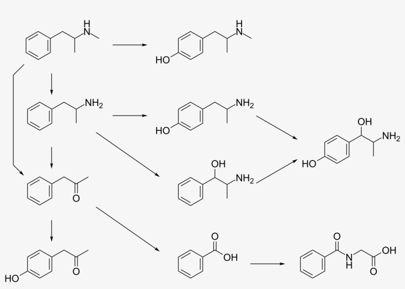 Open - Methamphetamine, transparent png #3513047