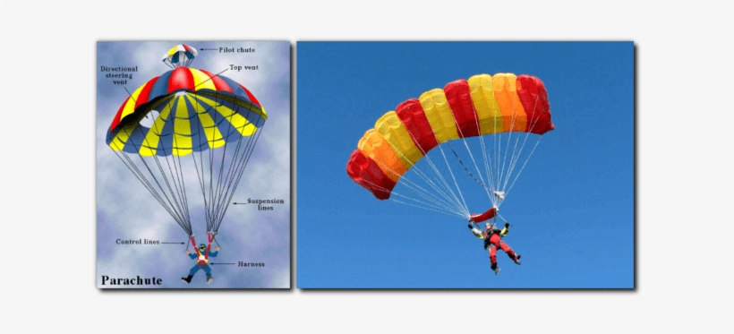 Why Is February 29, 2016 A Special Aviation Day Topics - Skydiving Parachute, transparent png #3513298