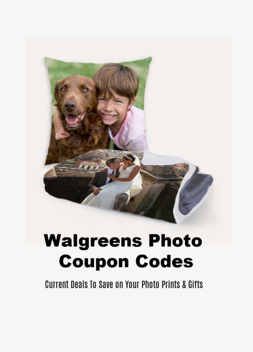 Walgreens Photo Coupon Codes Current Deals Available - Companion Dog, transparent png #3513441
