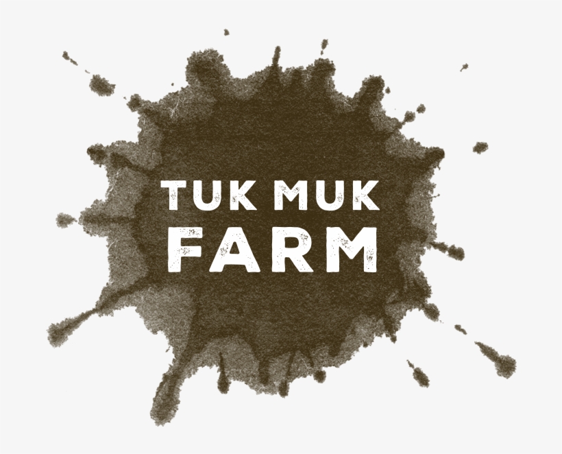 Tukmuk Website Logoart V3 - Ülke Tv, transparent png #3513728