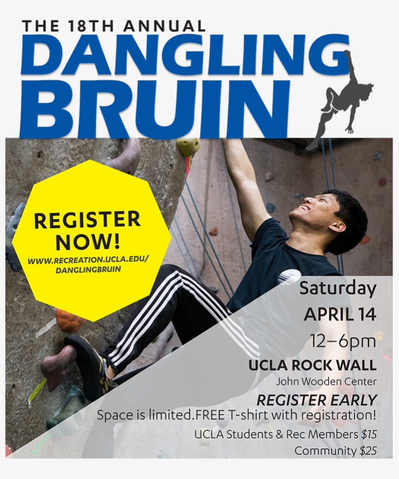 The Dangling Bruin Is A Points-based, Climbing Competition - Brown, transparent png #3514072