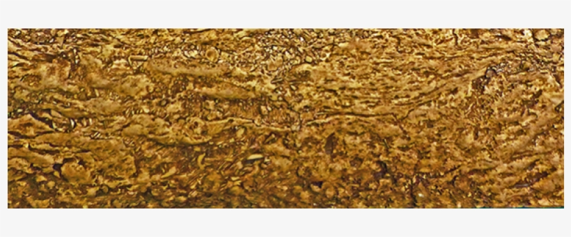 8606 Blasted Sandstone Rock Wall - Sandstone, transparent png #3515058