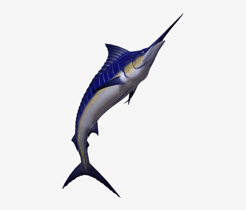 Marlin Fish, transparent png #3515382