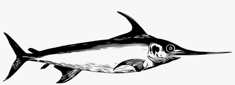 Swordfish Billfish Atlantic Blue Marlin Marlin Fishing - Espadon Marlin, transparent png #3515612