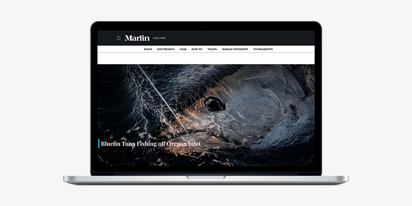 Get Our Newsletter - Gadget, transparent png #3516080