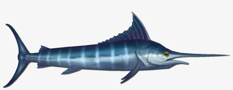 Marlin Are A Common Fish That Can Be Found At The Bottom - Swordfish, transparent png #3516098