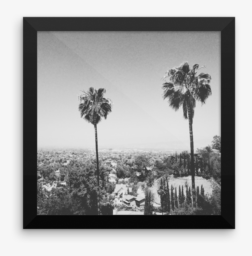 Original Photo By Jordan Iverson Taken In The Hollywood - Monochrome, transparent png #3517936
