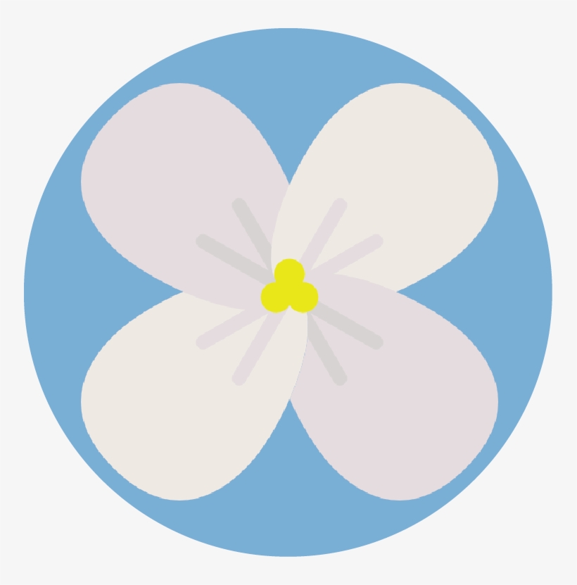 Brookelogo, transparent png #3518767