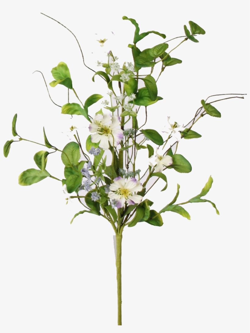 Dogwood Spray - Bouquet, transparent png #3518786