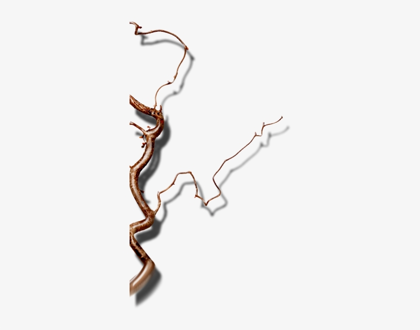 Art, transparent png #3519082