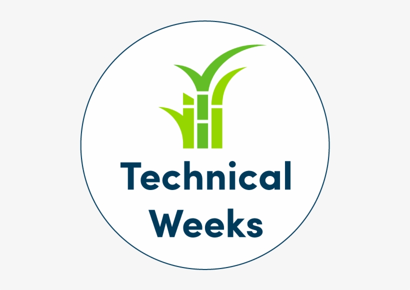 Bonsucro Technical Week Central America - Nice Things To Say For Teacher Appreciation Week, transparent png #3519968