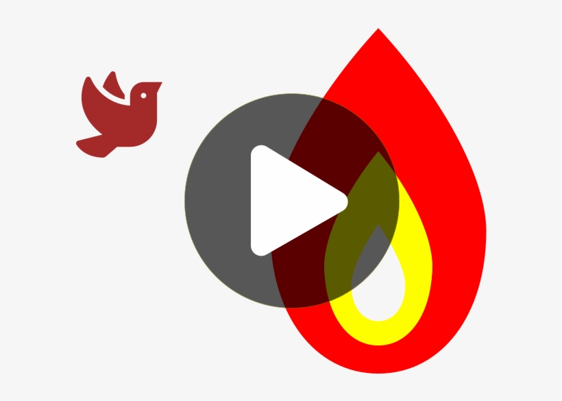 Graphic Design, transparent png #3519969