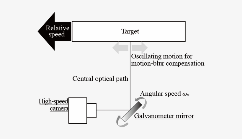 Deformable Interface Bear - Active Perception, transparent png #3520712